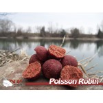Bouillette - Poisson Robin