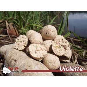 Bouillette - Violette